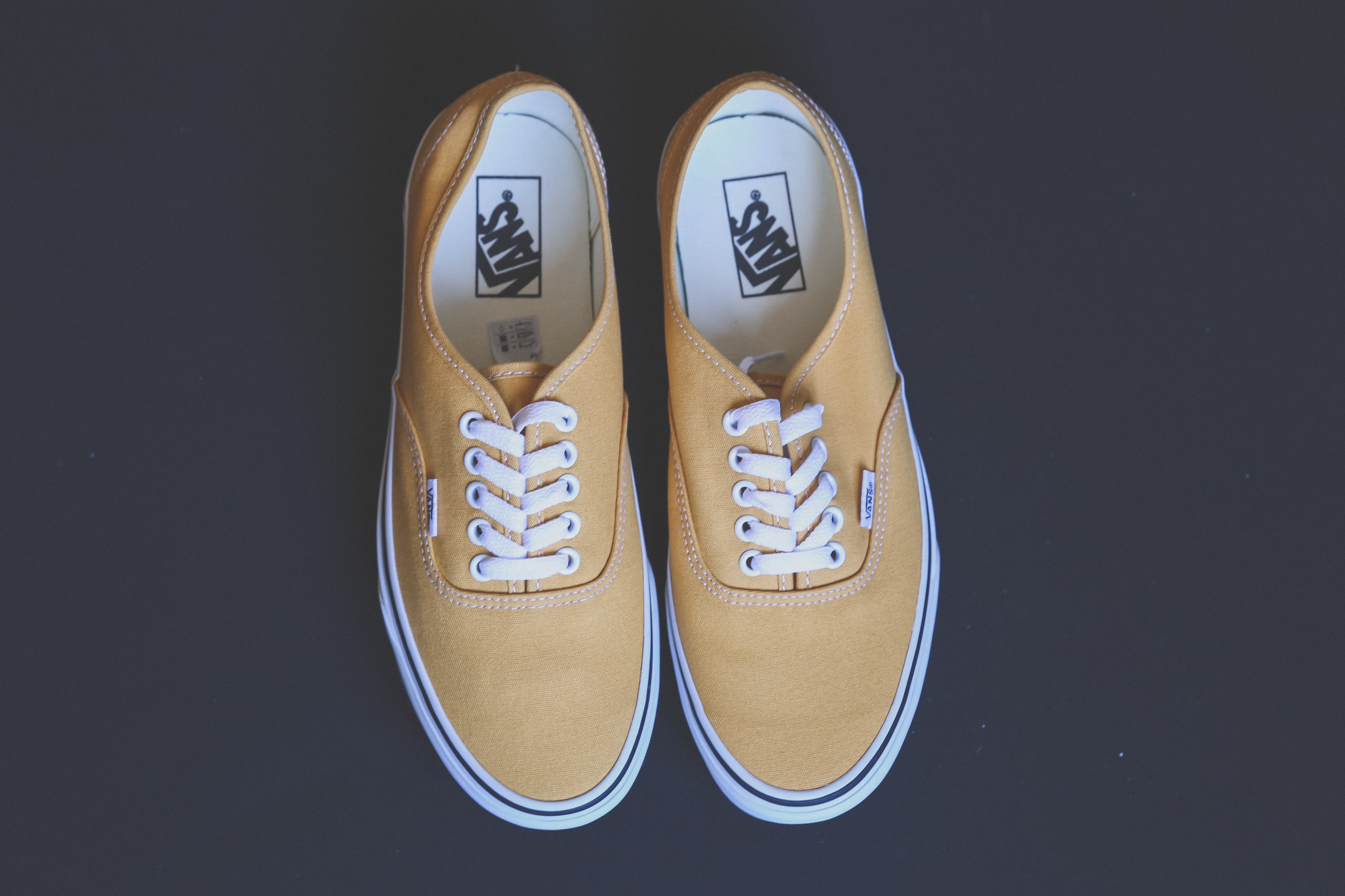 Shoe-7